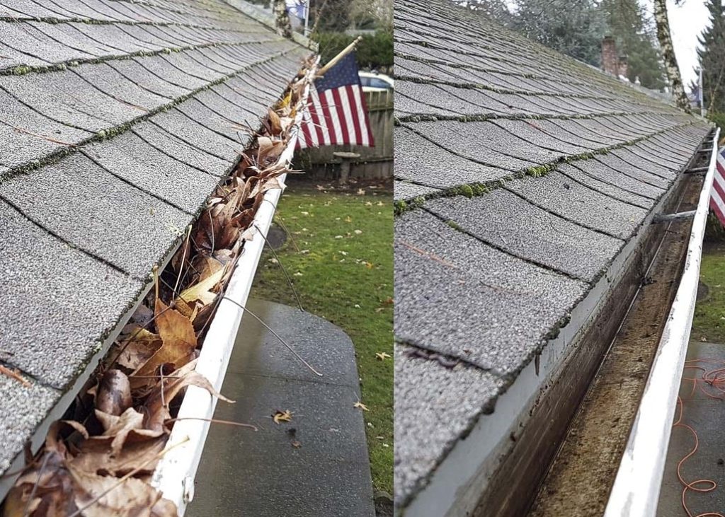 Gutter Cleaning
