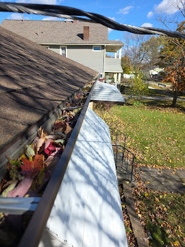 Close up of clogged and uncleaned gutter in Cleveland Ohio