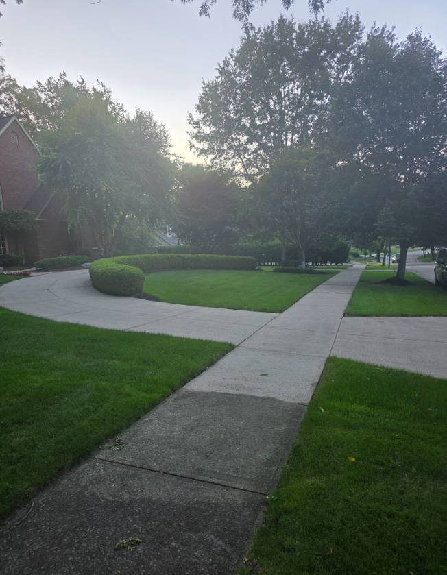 Exterior residential street view for exterior cleaning services