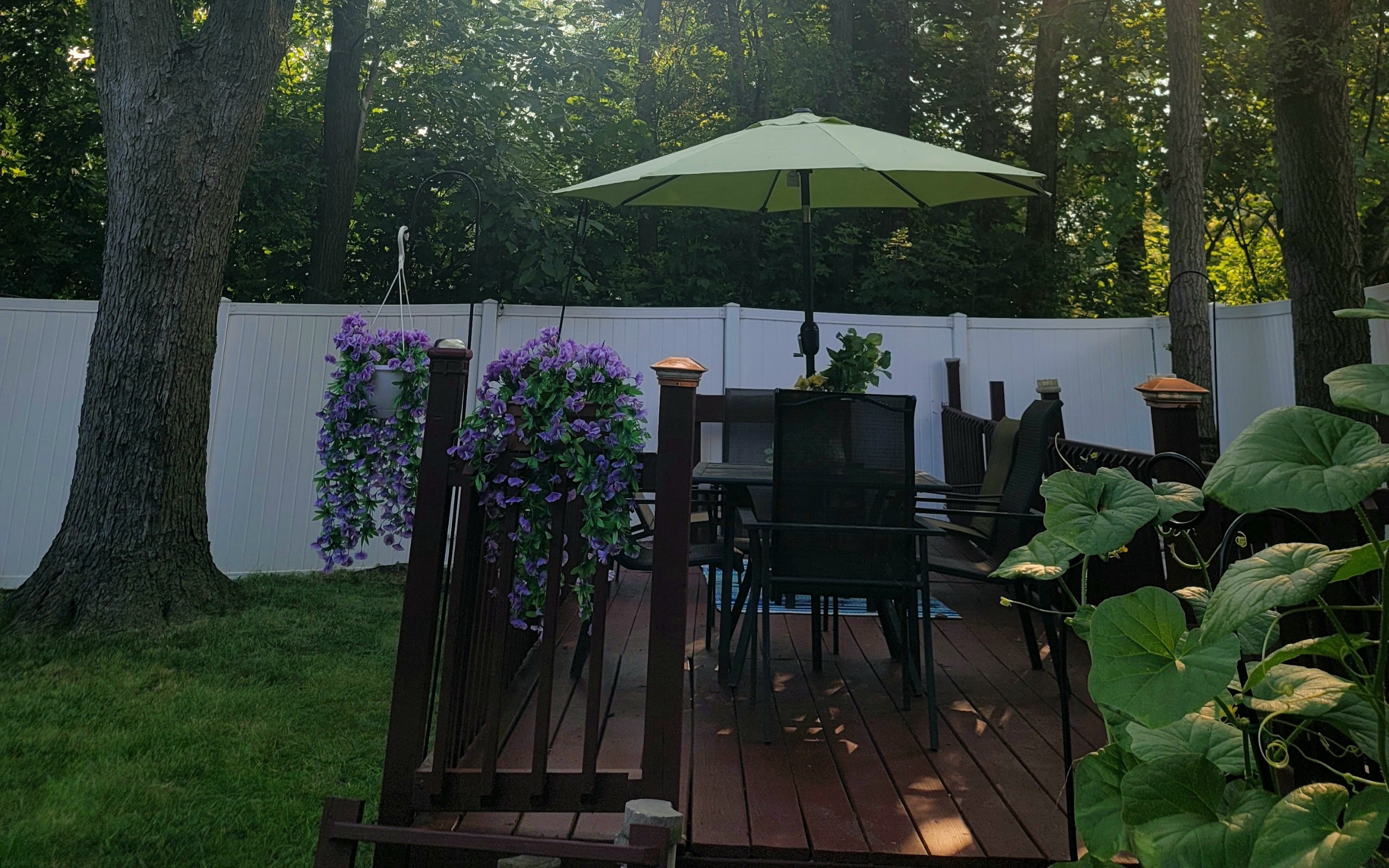 Fully cleaned and restored wooden deck and fence in a residential backyard.