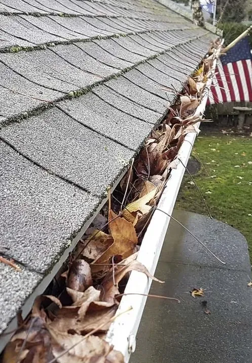 Gutter clean-out: before cleaning