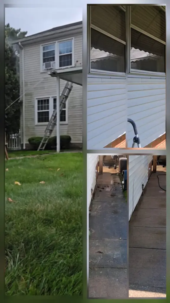 Why Your Siding Turns Green on the Shady Side (and How to Stop It)