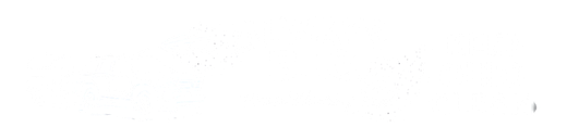 ALWAYS B.I.G. Power Washing Pros